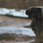 Ausgrabungsstätte unseres Kunden Archaeofirm